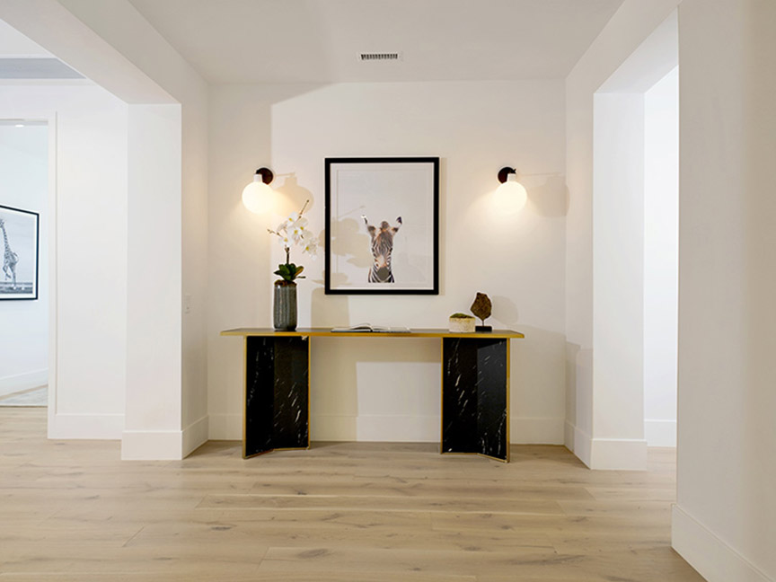 Salt Haus Design Studio